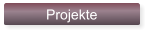 Projekte